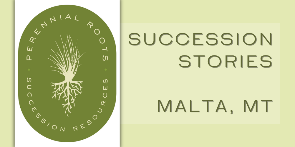 Perennial Roots: Succession Stories, Malta