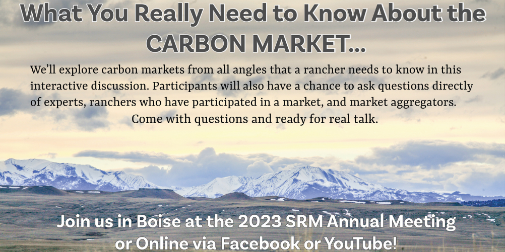 Carbon Market Panel Discussion