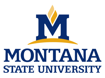 Geospatial and Mapping Camp for High School Students