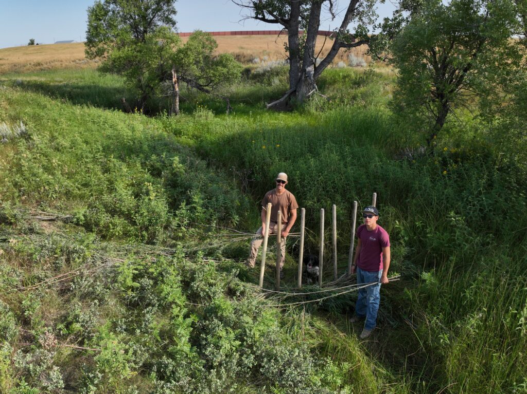 Two people working beside a willow and post stream restoration structure.